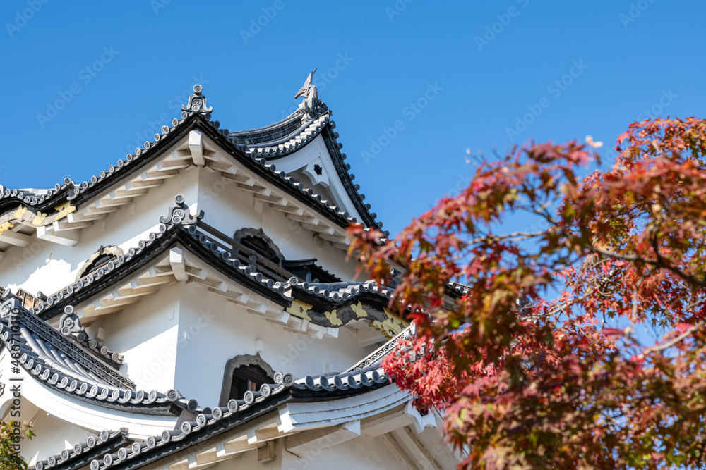 彦根城と紅葉 秋