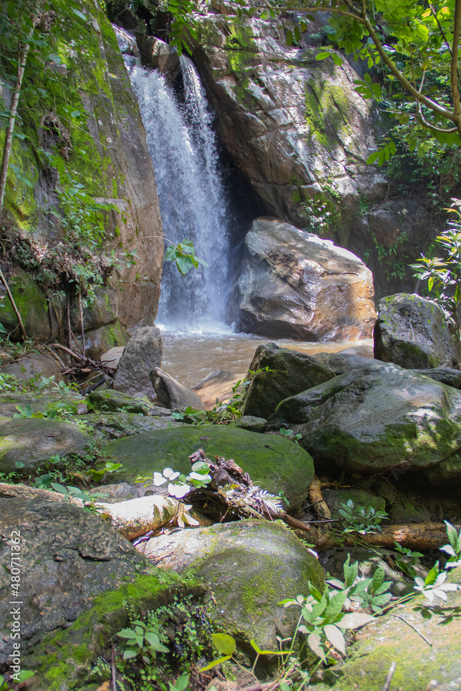 Fototapeta premium Brazilian Beautifull Waterfall