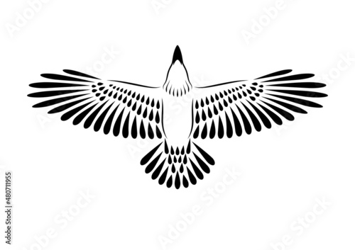 Engraving of stylized raven. Soaring Raven. Decorative bird. Linear drawing. Flying bird. Stencil art.
