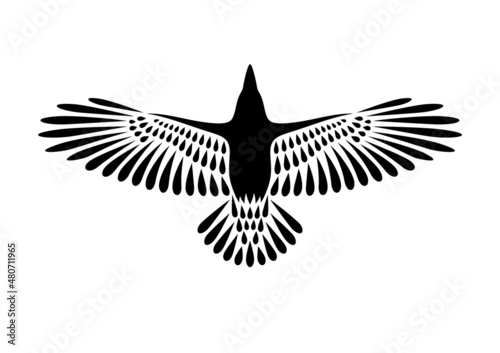 Engraving of stylized raven. Soaring Raven. Decorative bird. Linear drawing. Flying bird. Stencil art.