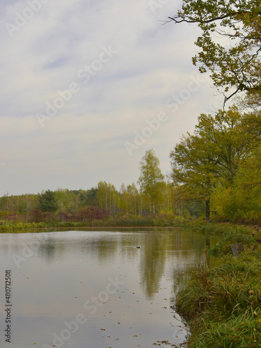 Fototapeta Naklejka Na Ścianę i Meble -  Staw niedaleko Zegrza 4