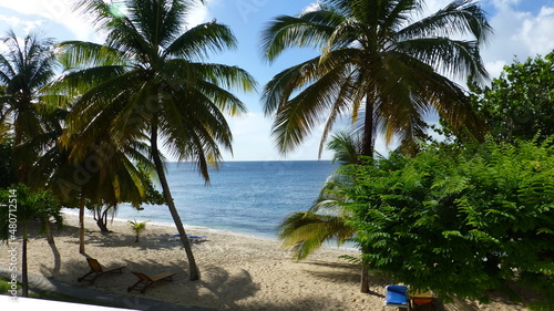 Tropical beach