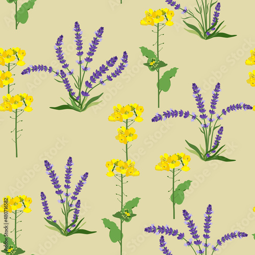 Vector pattern with Lavender and field flowers on a beige background.