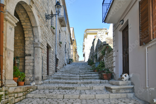 A street among the characteristic houses of Buonalbergo  a mountain village in the province of Benevento  Italy.