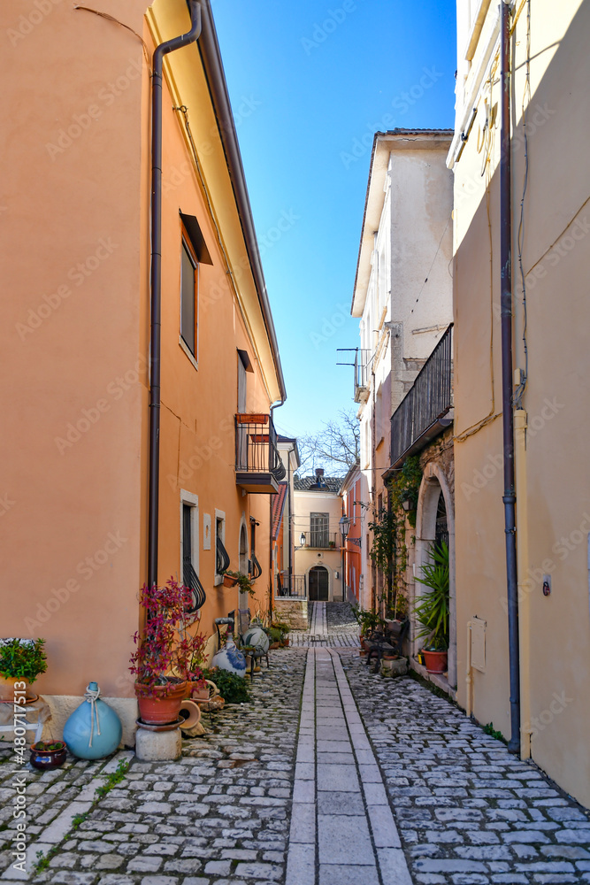 Obraz premium A street among the characteristic houses of Buonalbergo, a mountain village in the province of Benevento, Italy.