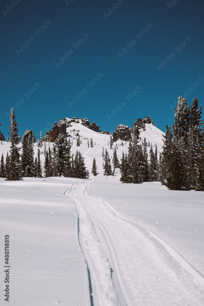Obraz premium Sheregesh. Russia. White snow-covered rocks of an unusual shape in the distance against a blue sky. Winter. Snowmobile tracks visible