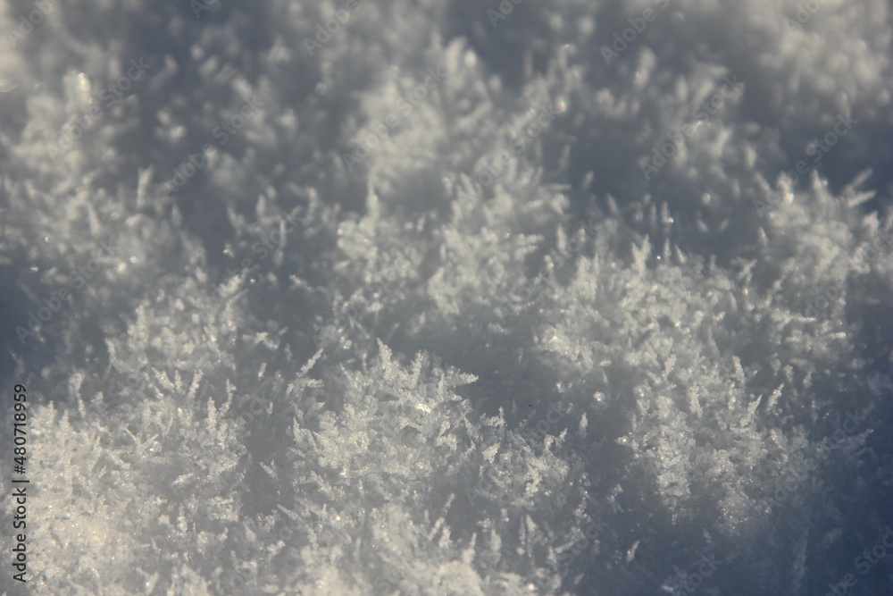 Fototapeta premium the fallen snow consists of pointed ice crystals