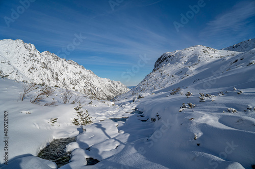 Fototapeta Naklejka Na Ścianę i Meble -  Tatra Mountains, Winter mountain landscape in Tatra mountains, high mountains covered with snow sunny frosty winter weather Poland