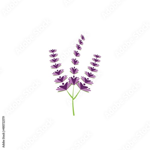 Fresh Lavender flower logo vector flat design