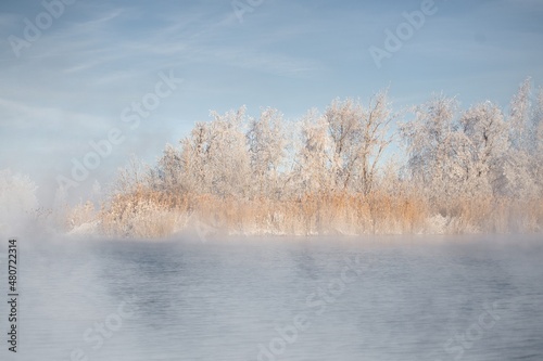 Wallpaper Mural Foggy coast Torontodigital.ca