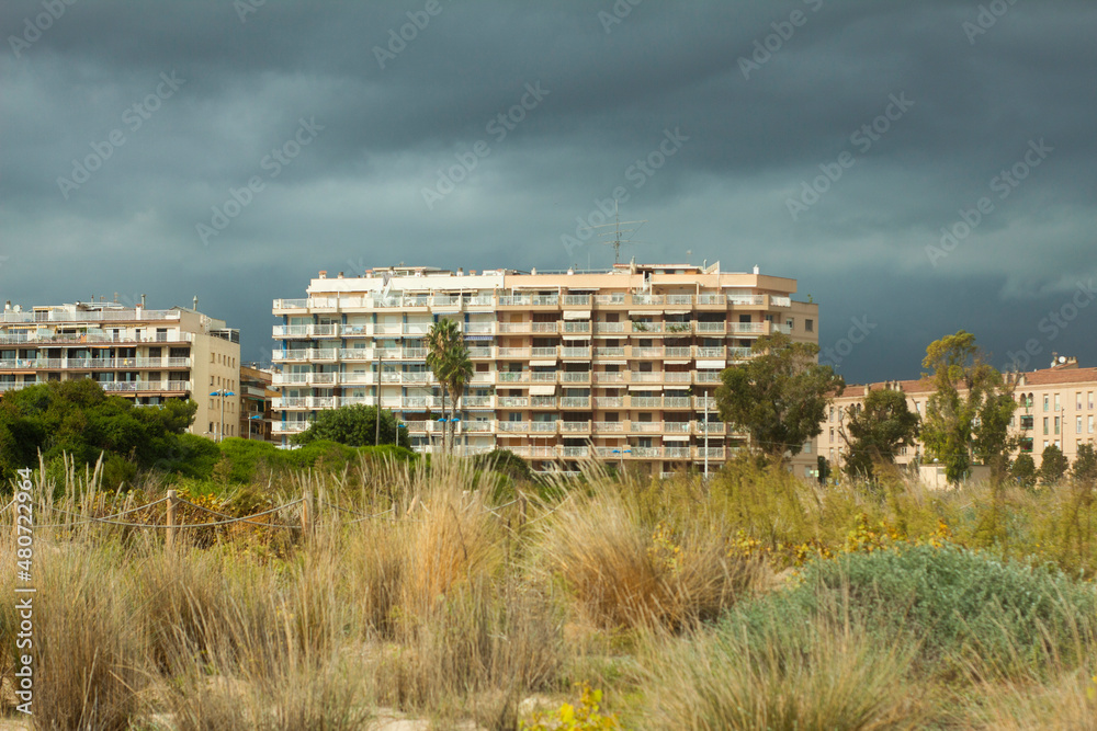Fototapeta premium houses in the city