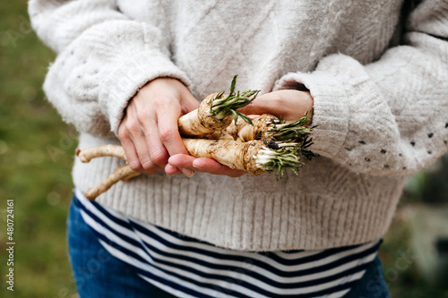 Fotografija young woman with wool sweater holds freshly harvested horseradish from her own g