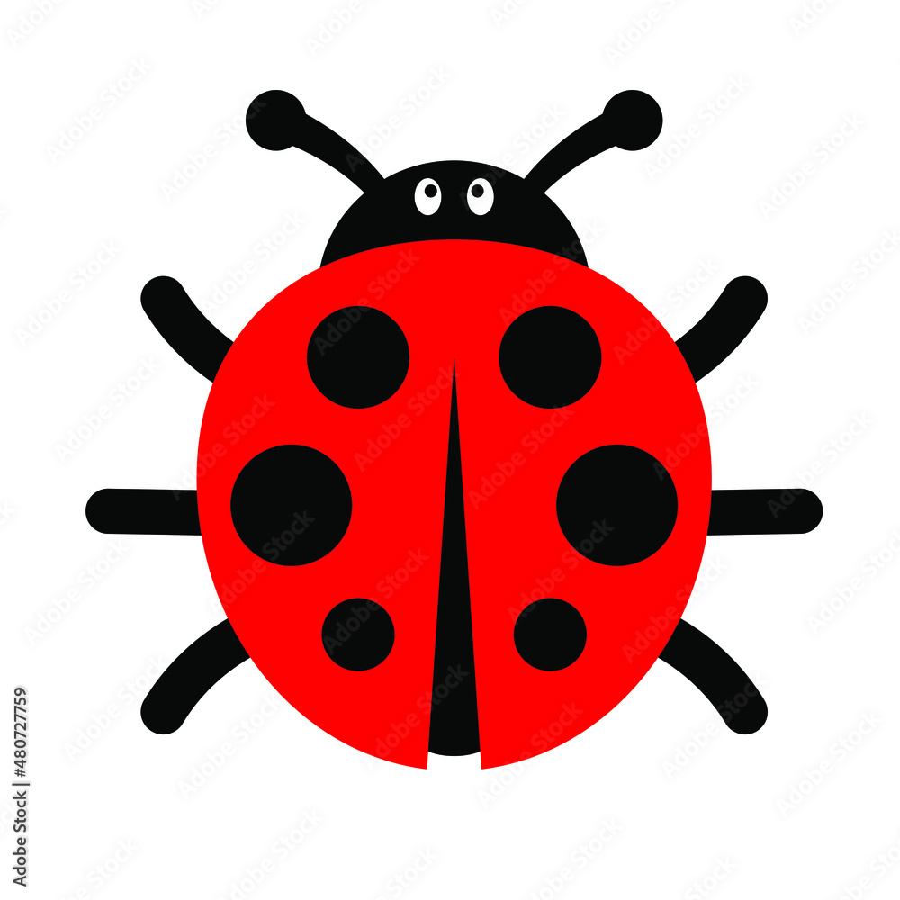 Obraz premium Ladybug or ladybird vector graphic illustration, isolated. Cute simple flat design of black and red lady beetle.