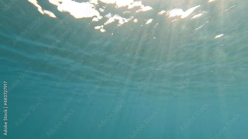 Sunlight falling under the water. landscapes underwater waves on the water surface. Underwater scenario of the water surface, and a view to the top from the bottom of the sea. Sunlight falling under the water. landscapes underwater waves on the water surface. Underwater scenario of the water surface, and a view to the top from the bottom of the sea.