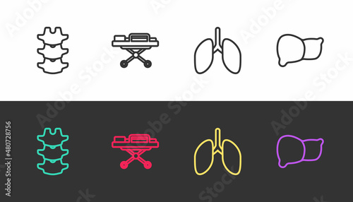 Set line Human spine, Stretcher, Lungs and organ liver on black and white. Vector