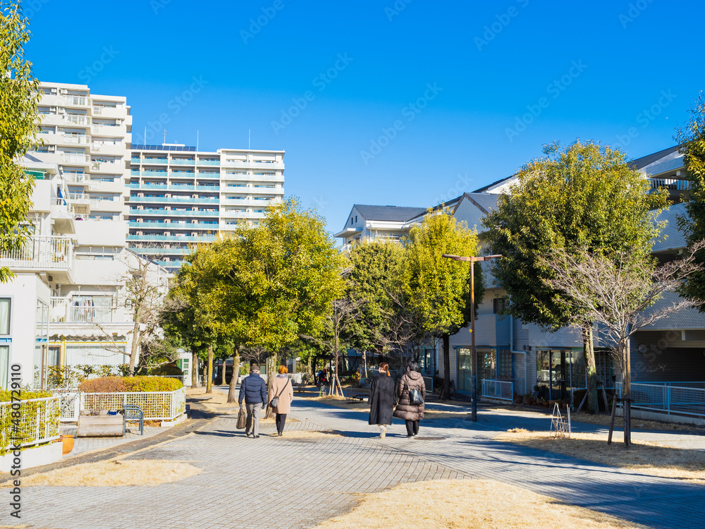 Fototapeta premium 郊外の住宅地 冬景