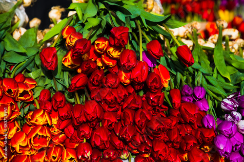 Selling flowers. Bouquets of colorful tulips © SGr