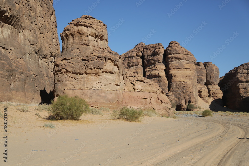 in the kingdom of saudi arabia in the kingdom of saudi arabia