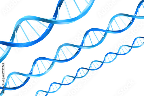 Human DNA molecule, 3d illustration isolated on white background