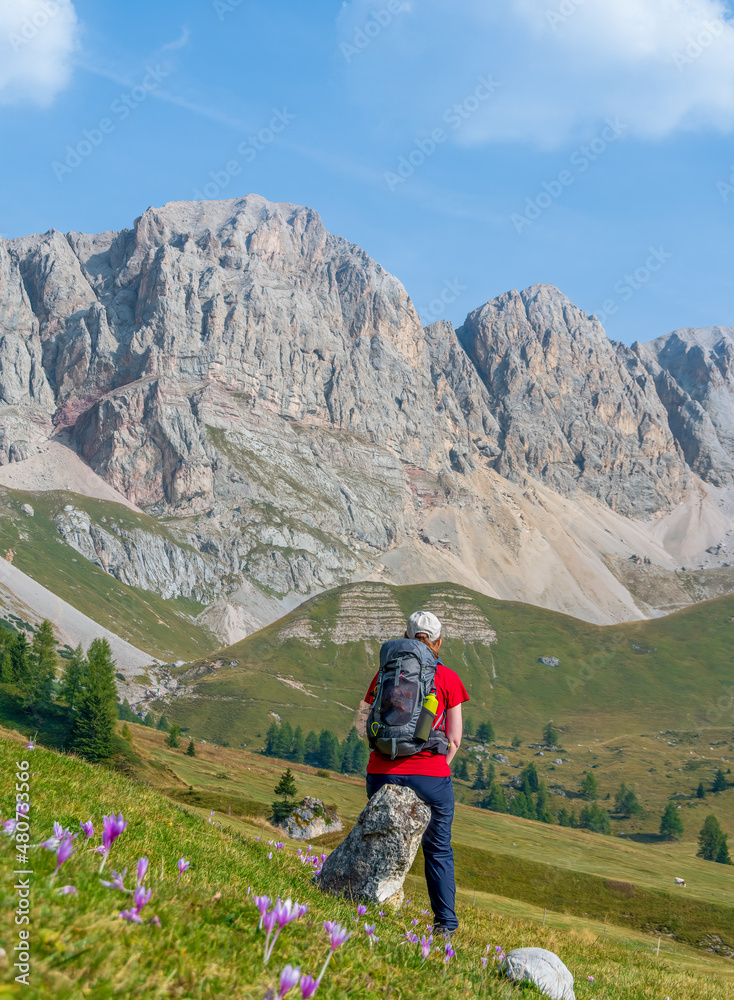 Woman with a backpack sitting on a rock surrounded by alpine pastures enjoys the view of Dolomites. Passo San Pellegrino - Fuciade. Trentino, Italy