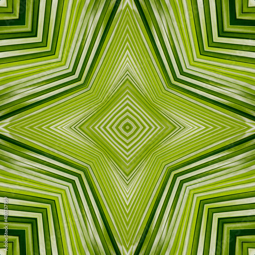 Green mandala from forest palm tree leaves. Mandala made from natural objects. Natural leaf ornament. Symmetry  seamless  perfection