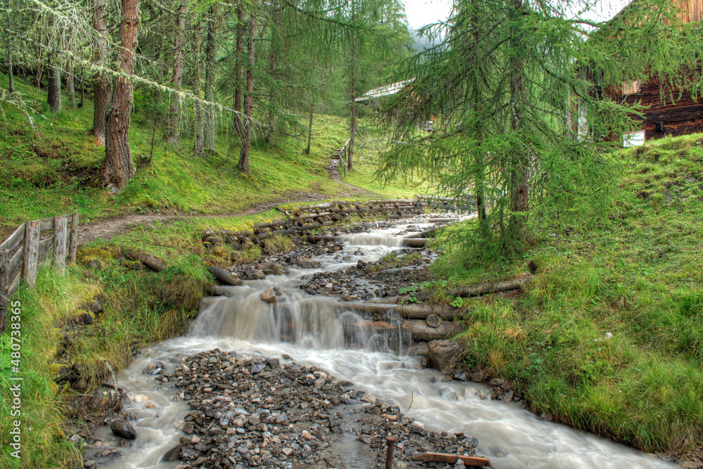 waterfall in the forest