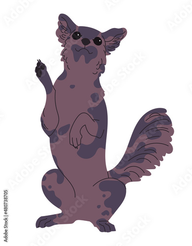 Dark dog stands on its hind legs