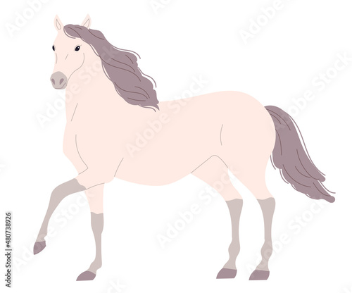 Obraz na płótnie Light walking horse with a pink tint