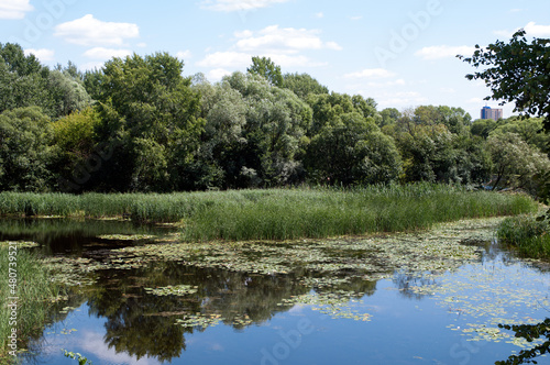Backwater on the river Mukhavets  Brest  Belarus  July 21  2015