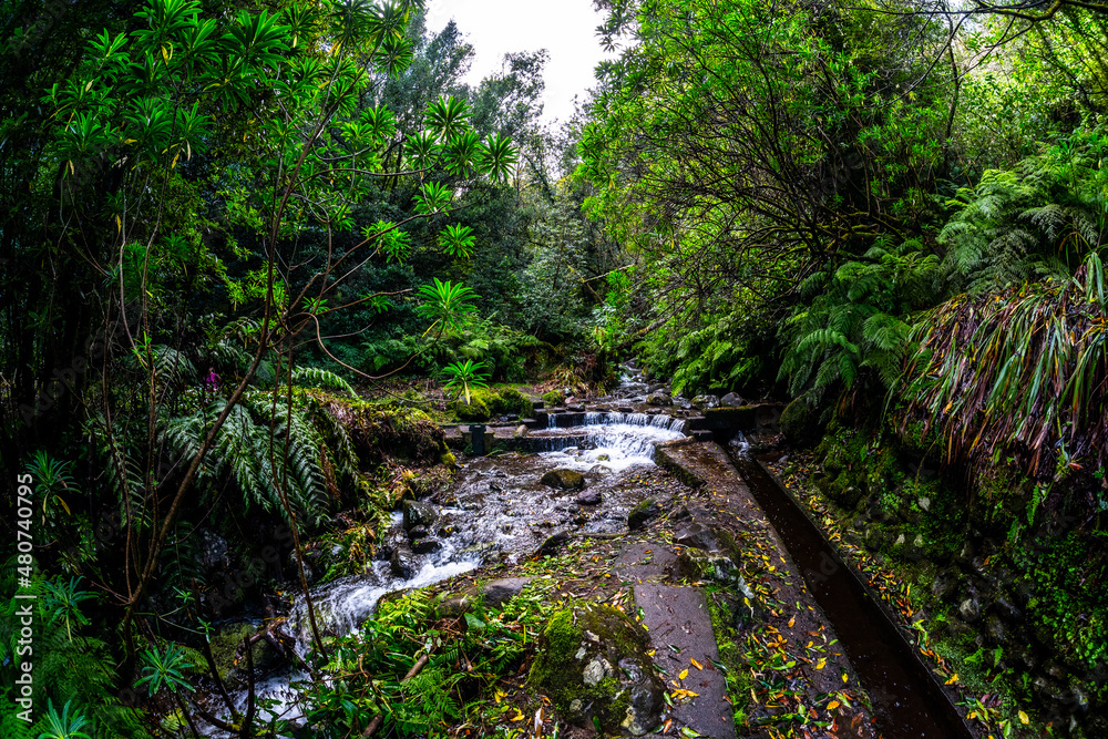 Madeira - Levada do Rei Madeira - Levada do Rei