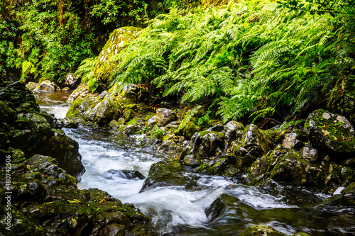 Madeira - Levada do Rei