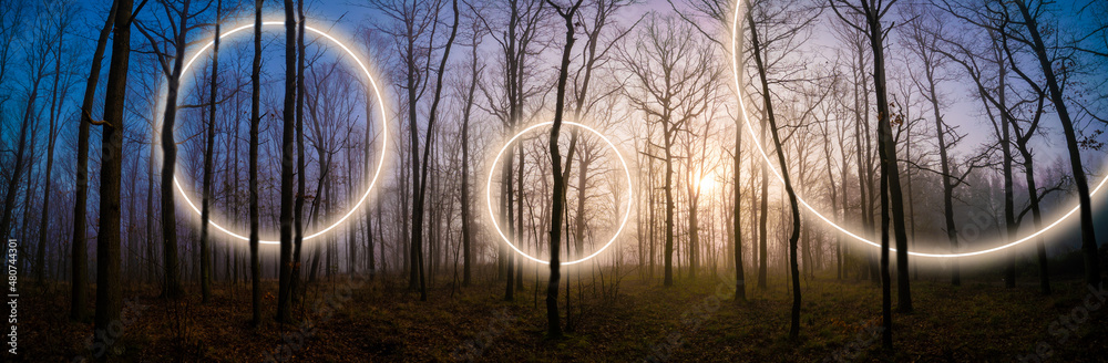 Panorama of the morning forest in the rising sun and abstract mystical circles in space