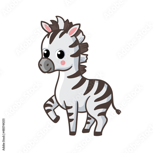 Zebra cub on a white background. Zebras in cartoon style.