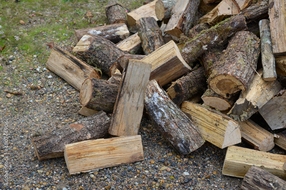 Plan rapproché d'une pile en vrac de bois de chauffage coupé Plan rapproché d'une pile en vrac de bois de chauffage coupé
