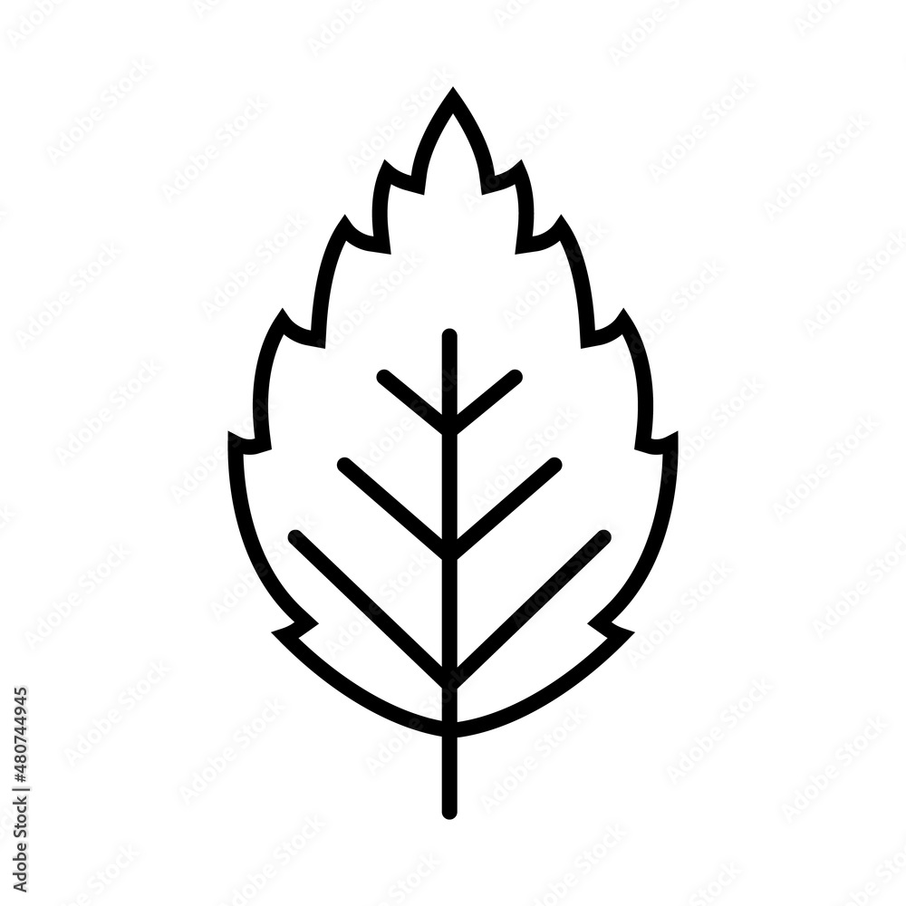 Tree leaf line icon, vector outline logo isolated on white background Tree leaf line icon, vector outline logo isolated on white background