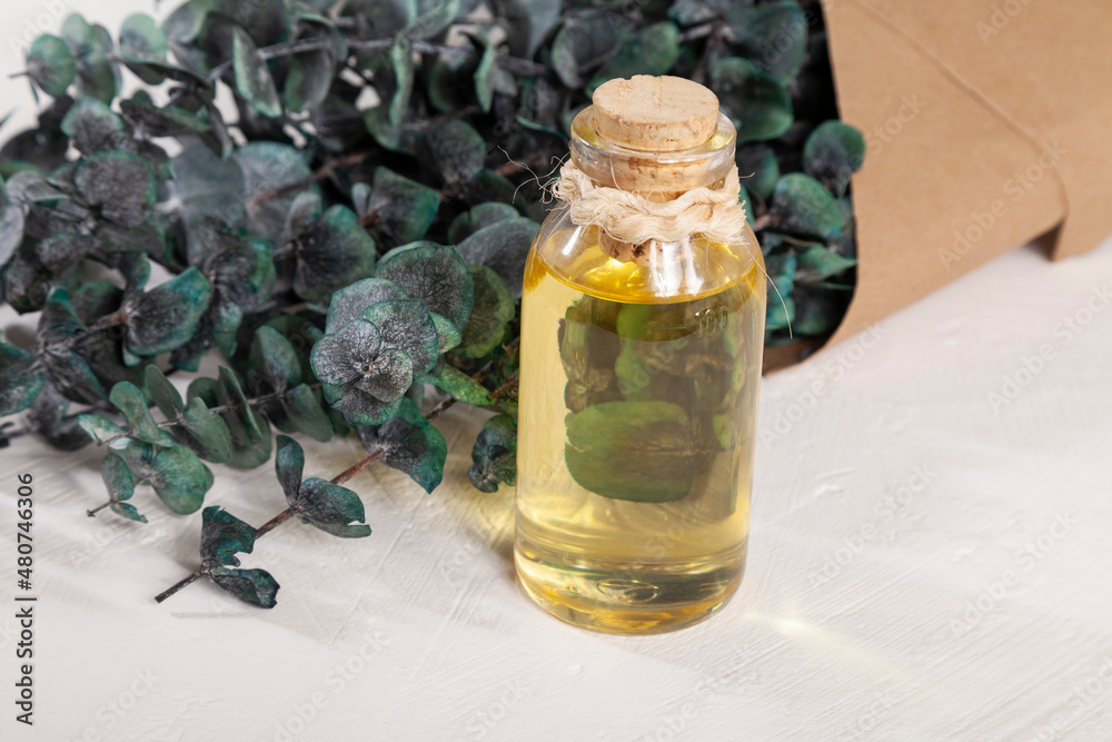 Eucalyptus - Eucalyptus Oil Plant With Many Medicinal Properties