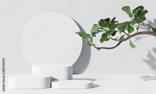 White product display podium with nature leaves and branches. 3D rendering	