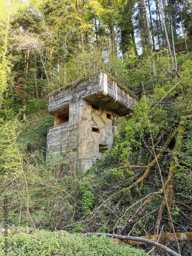 Swiss Bunker