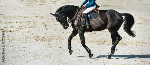 Rider and horse in jumping show. Beautiful girl on sorrel horse in jumping show, equestrian sports. Light-brown horse and girl in uniform going to jump. Horizontal web header or banner design. © taylon