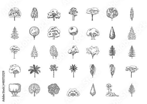 Big icon set of different tree silhouettes.