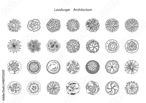 Trees top view for architecture landscape design projects