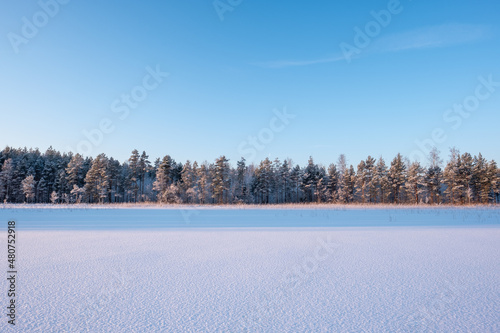 Wallpaper Mural Winter landscape with a frozen lake and trees Torontodigital.ca