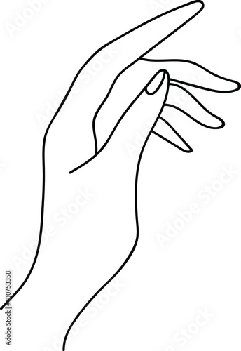 Female hand. Vector linear illustration.