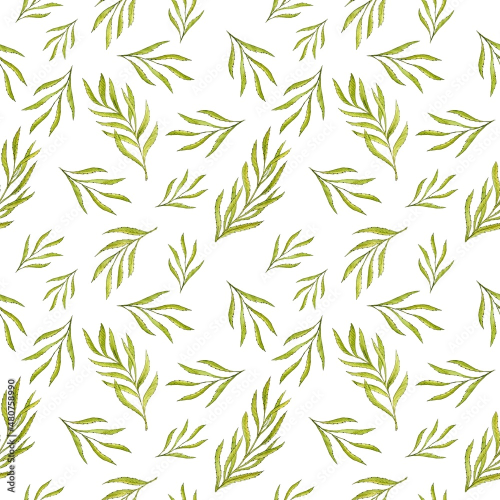 Fototapeta premium Narrow green decorative tree branches with willow leaves on a white background. Seamless square pattern. Watercolor