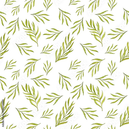 Fototapeta Naklejka Na Ścianę i Meble -  Narrow green decorative tree branches with willow leaves on a white background. Seamless square pattern. Watercolor
