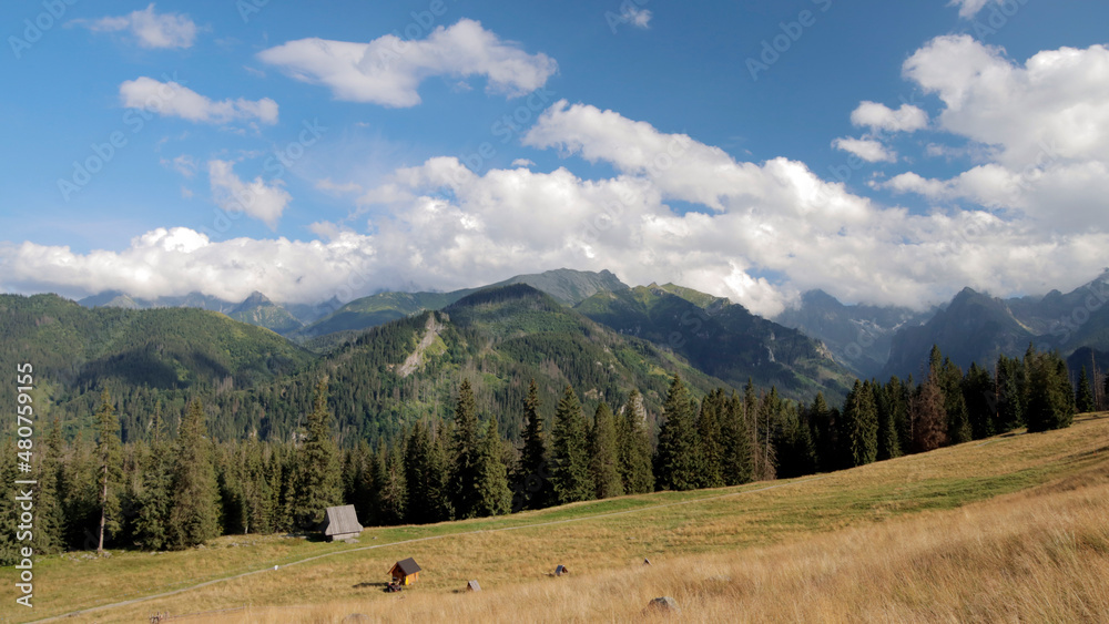 Obraz na płótnie Krajobrazy w Tatrach, polskie góry w salonie