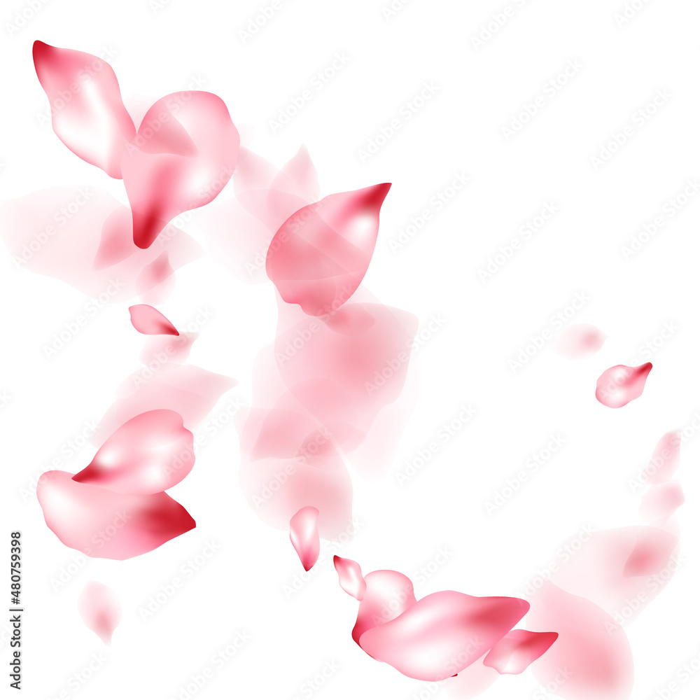 Fototapeta premium Pink sakura flower flying petals isolated on white vector background.