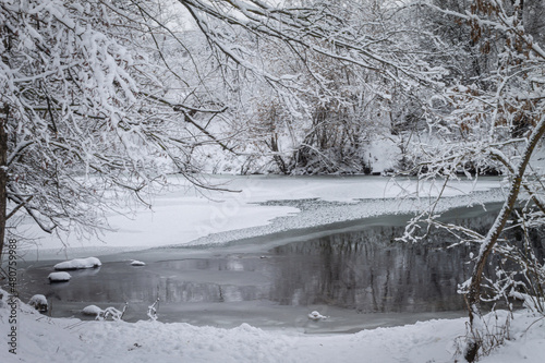 Winter forest by the river. Very beautiful natural background.