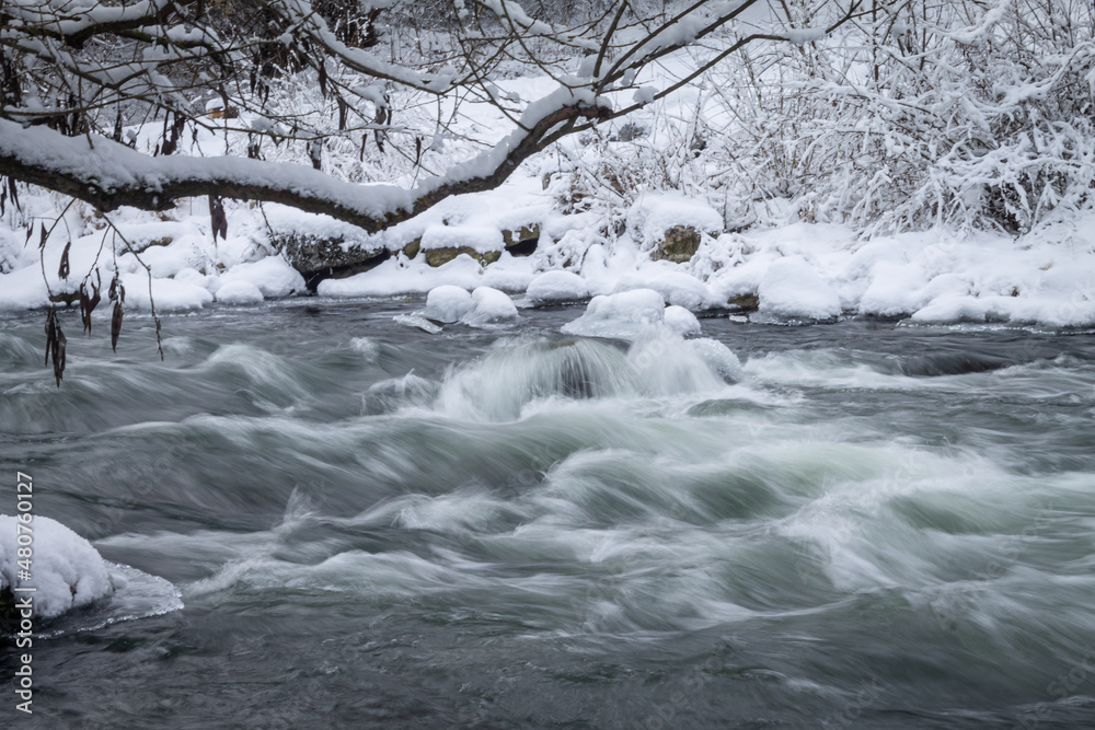 Winter forest by the river. Very beautiful natural background. Winter forest by the river. Very beautiful natural background.