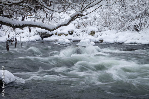 Winter forest by the river. Very beautiful natural background.